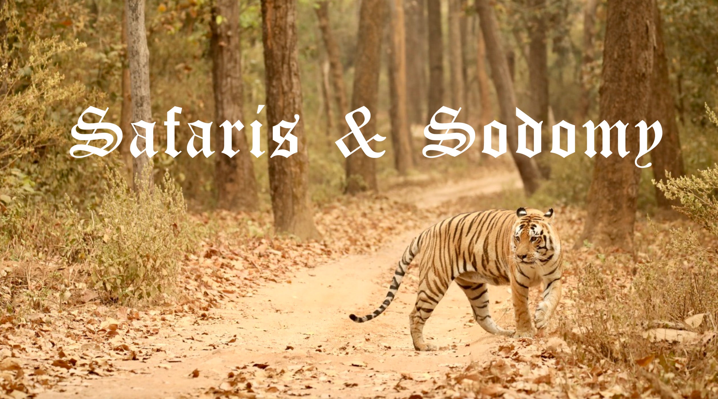 Safaris & Sodomy