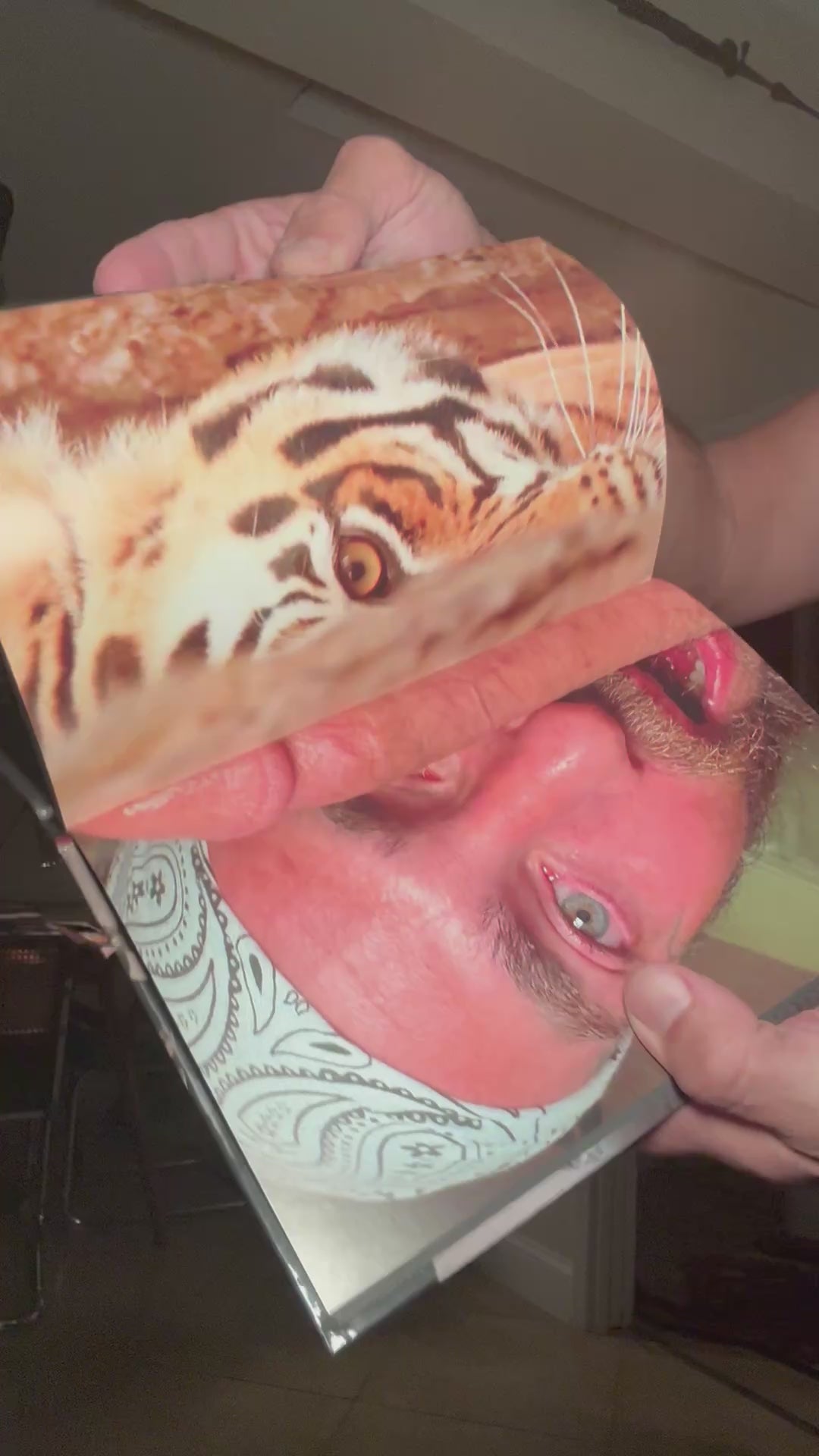 Flipping through Safaris & Sodomy